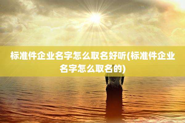 标准件企业名字怎么取名好听(标准件企业名字怎么取名的)