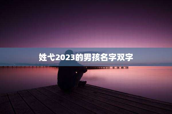 姓弋2023的男孩名字双字