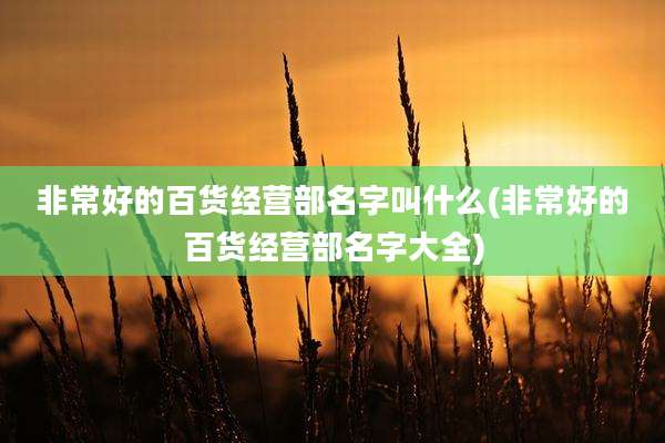 非常好的百货经营部名字叫什么(非常好的百货经营部名字大全)