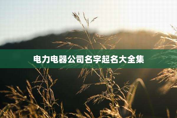 电力电器公司名字起名大全集