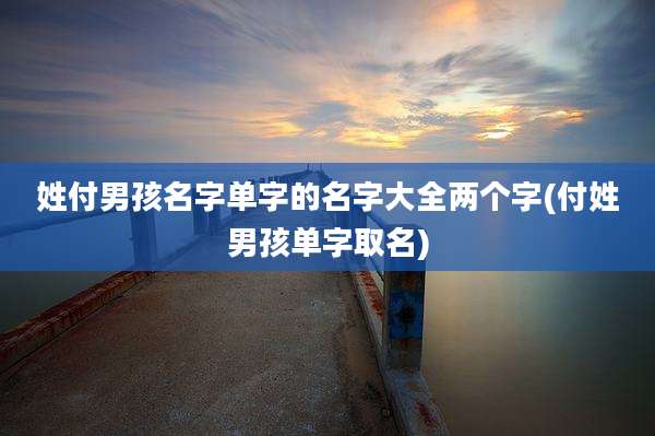 姓付男孩名字单字的名字大全两个字(付姓男孩单字取名)