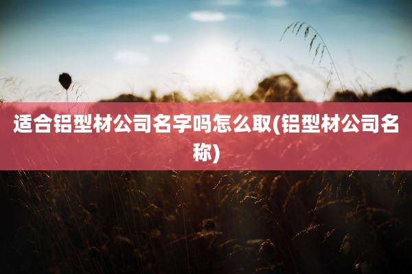 适合铝型材公司名字吗怎么取(铝型材公司名称)