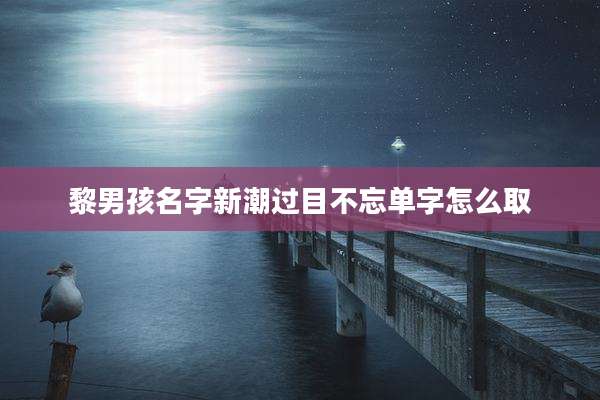黎男孩名字新潮过目不忘单字怎么取