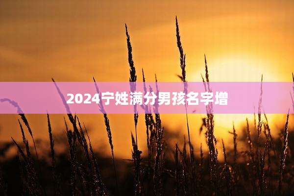 2024宁姓满分男孩名字增