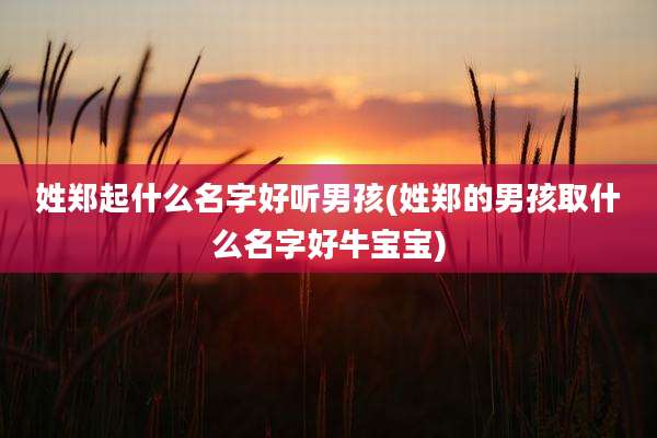姓郑起什么名字好听男孩(姓郑的男孩取什么名字好牛宝宝)