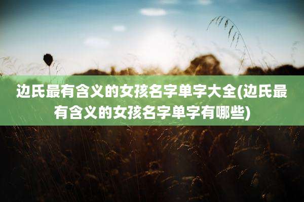 边氏最有含义的女孩名字单字大全(边氏最有含义的女孩名字单字有哪些)
