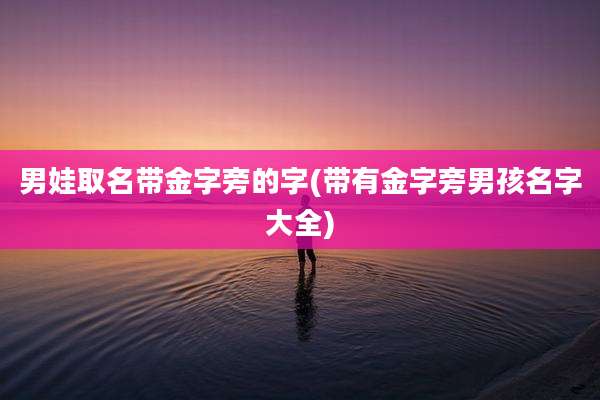 男娃取名带金字旁的字(带有金字旁男孩名字大全)