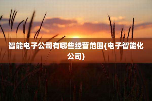智能电子公司有哪些经营范围(电子智能化公司)