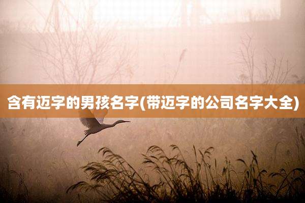 含有迈字的男孩名字(带迈字的公司名字大全)