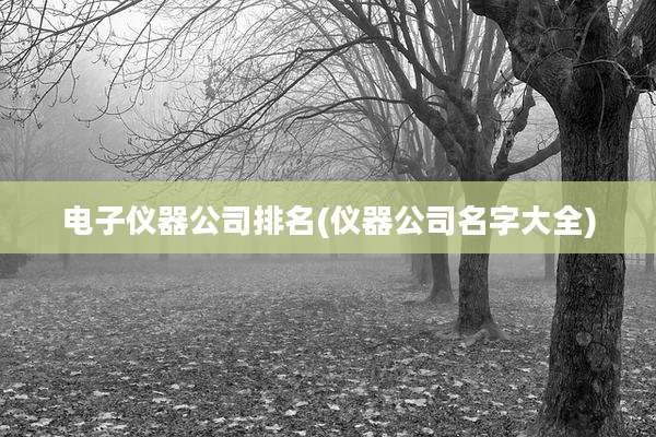电子仪器公司排名(仪器公司名字大全)