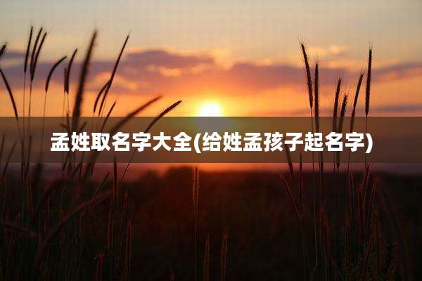 孟姓取名字大全(给姓孟孩子起名字)