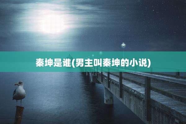 秦坤是谁(男主叫秦坤的小说)