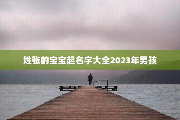 姓张的宝宝起名字大全2023年男孩