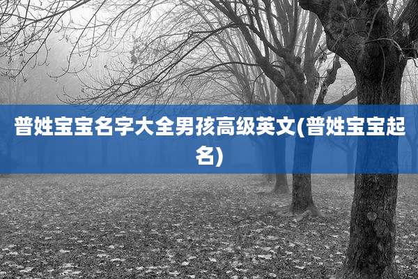 普姓宝宝名字大全男孩高级英文(普姓宝宝起名)