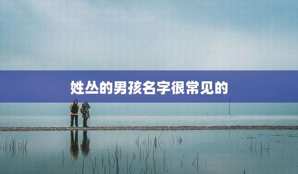 姓丛的男孩名字很常见的