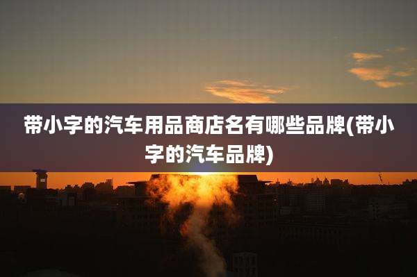 带小字的汽车用品商店名有哪些品牌(带小字的汽车品牌)