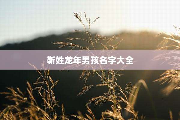 靳姓龙年男孩名字大全