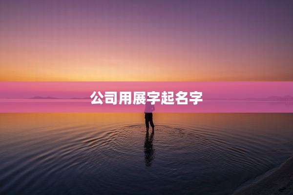 公司用展字起名字