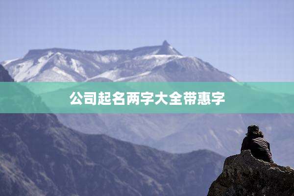 公司起名两字大全带惠字