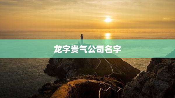 龙字贵气公司名字