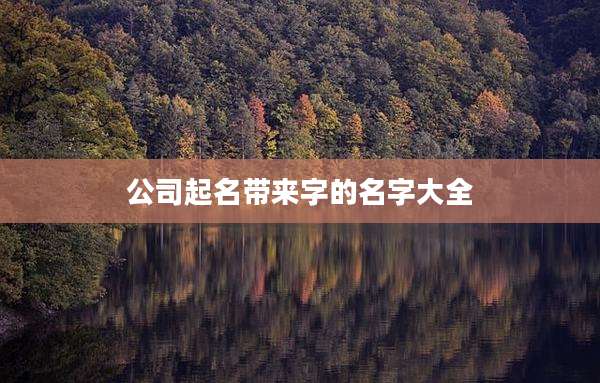 公司起名带来字的名字大全
