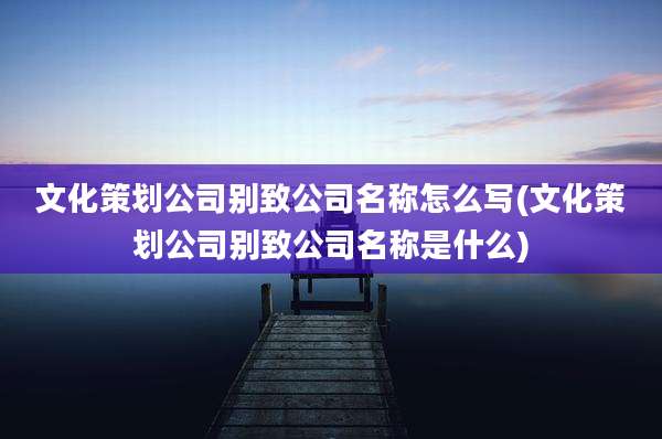 文化策划公司别致公司名称怎么写(文化策划公司别致公司名称是什么)