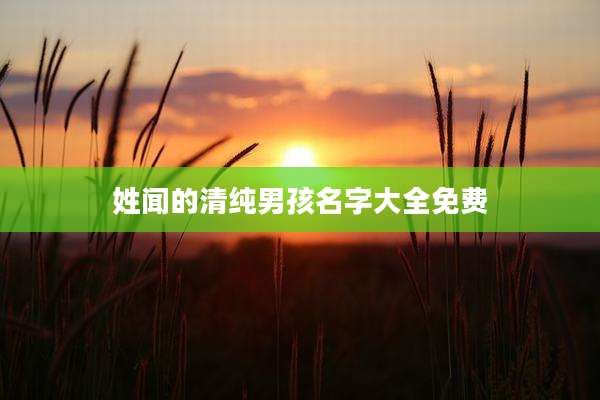 姓闻的清纯男孩名字大全免费