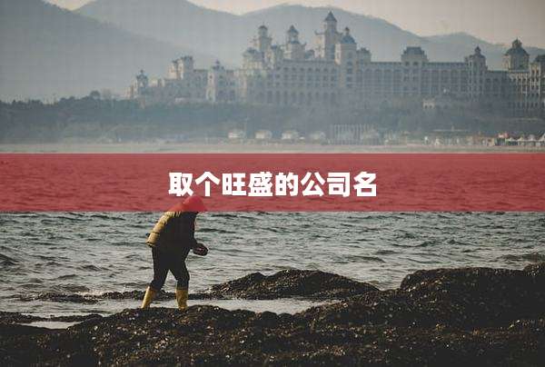取个旺盛的公司名
