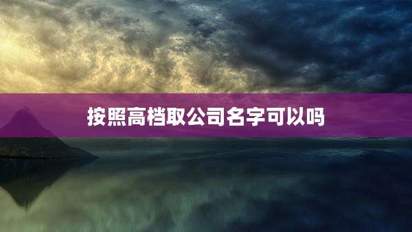 按照高档取公司名字可以吗