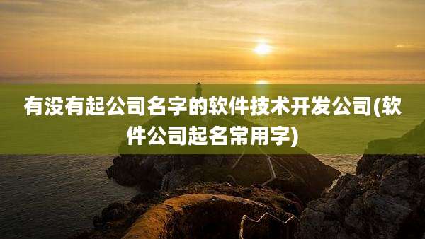有没有起公司名字的软件技术开发公司(软件公司起名常用字)