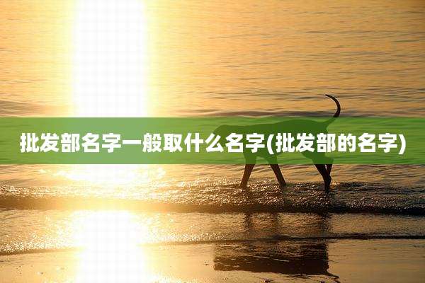 批发部名字一般取什么名字(批发部的名字)