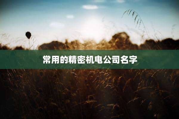 常用的精密机电公司名字