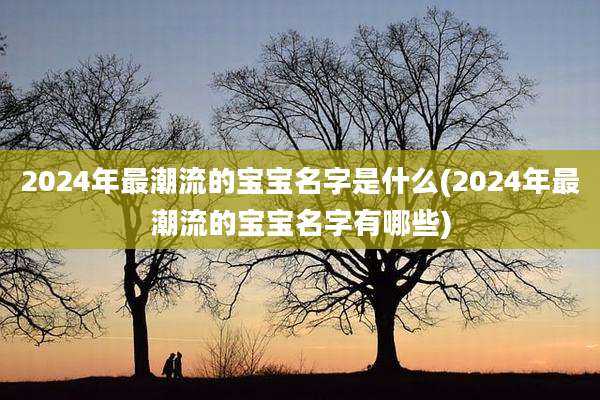 2024年最潮流的宝宝名字是什么(2024年最潮流的宝宝名字有哪些)