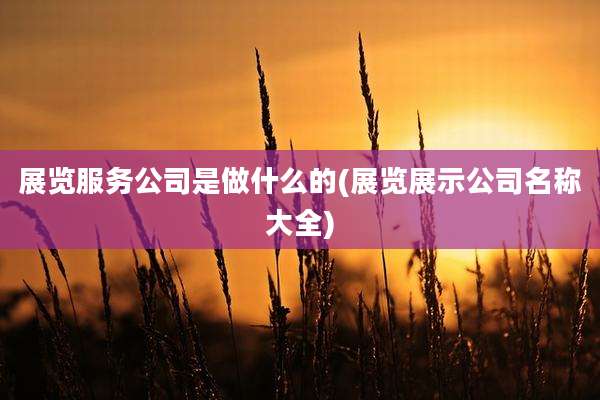 展览服务公司是做什么的(展览展示公司名称大全)
