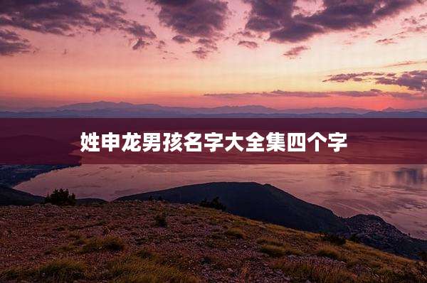 姓申龙男孩名字大全集四个字