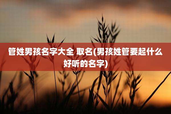 管姓男孩名字大全 取名(男孩姓管要起什么好听的名字)