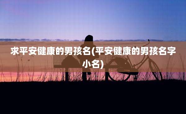 求平安健康的男孩名(平安健康的男孩名字小名)