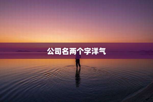 公司名两个字洋气