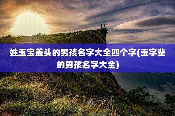 姓玉宝盖头的男孩名字大全四个字(玉字辈的男孩名字大全)
