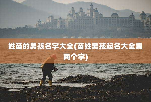 姓苗的男孩名字大全(苗姓男孩起名大全集两个字)