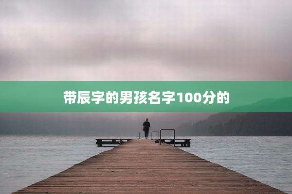 带辰字的男孩名字100分的