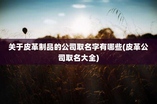 关于皮革制品的公司取名字有哪些(皮革公司取名大全)