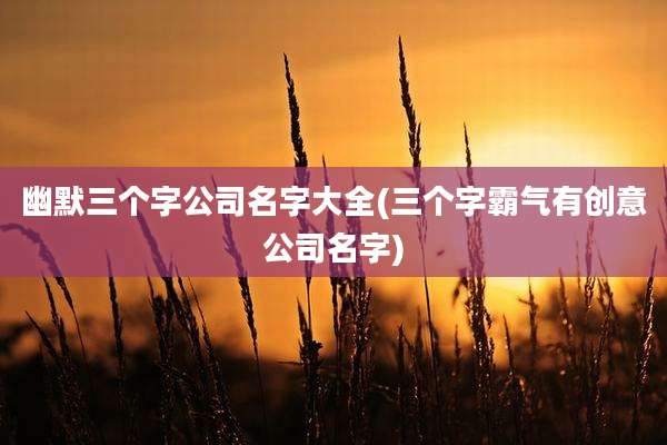 幽默三个字公司名字大全(三个字霸气有创意公司名字)