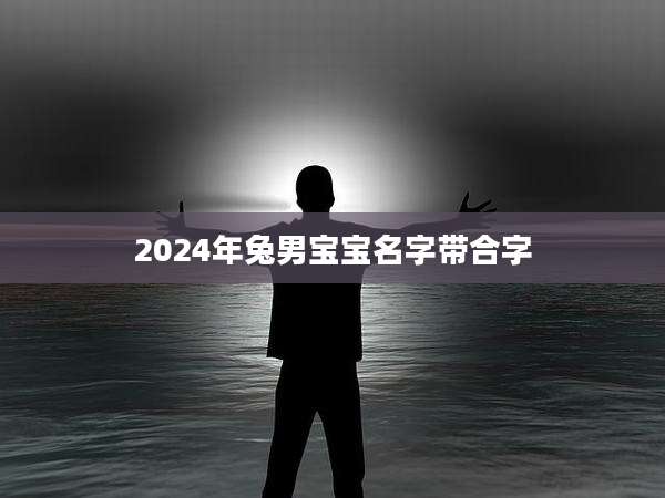 2024年兔男宝宝名字带合字