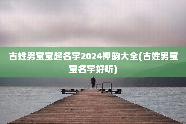 古姓男宝宝起名字2024押韵大全(古姓男宝宝名字好听)