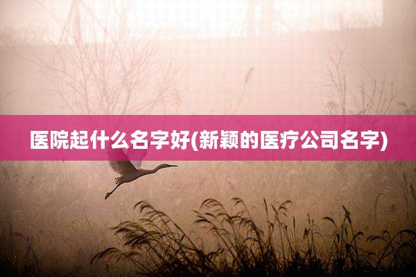 医院起什么名字好(新颖的医疗公司名字)