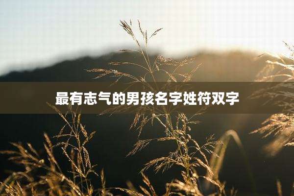 最有志气的男孩名字姓符双字