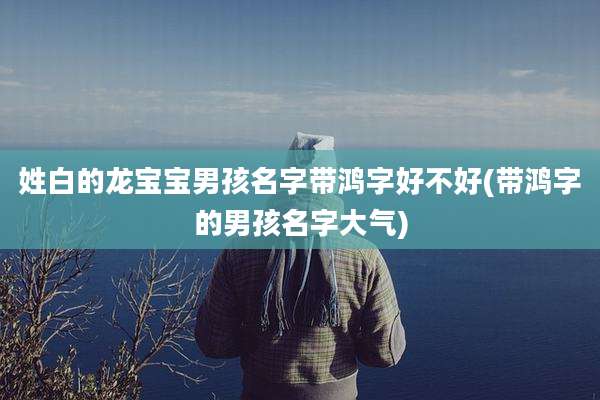 姓白的龙宝宝男孩名字带鸿字好不好(带鸿字的男孩名字大气)