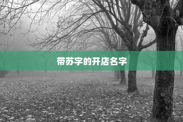 带苏字的开店名字