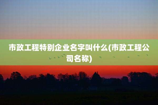 市政工程特别企业名字叫什么(市政工程公司名称)
